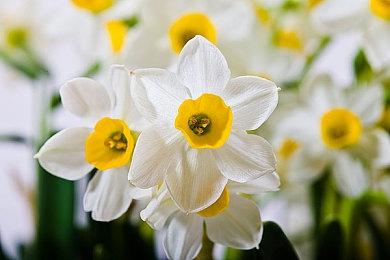 新版本发力！《流放之路2》Steam在线峰值突破35万